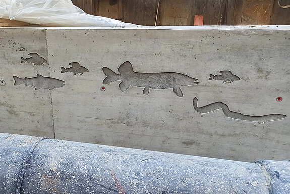 Test für die geplante Gestaltung der Moosach-Ufermauern in der Oberen Hauptstraße mit einem Fischrelief. (Foto: Wadle Bauunternehmung GmbH / Herbert Priller)