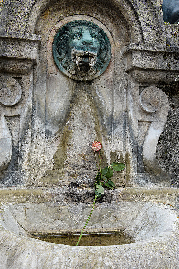 Wie ein Abschiedsgruß: Eine im Mai 2020 in der Brunnenschale abgelegte Rose. Ab 15. Juni wird das Kriegerdenkmal abgebaut, restauriert und nach Abschluss der Neugestaltung in der Oberen Hauptstraße - leicht versetzt - wieder aufgebaut. (Foto: sda)