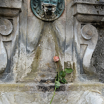 Wie ein Abschiedsgruß: Eine im Mai 2020 in der Brunnenschale abgelegte Rose. Ab 15. Juni wird das Kriegerdenkmal abgebaut, restauriert und nach Abschluss der Neugestaltung in der Oberen Hauptstraße - leicht versetzt - wieder aufgebaut. (Foto: sda)