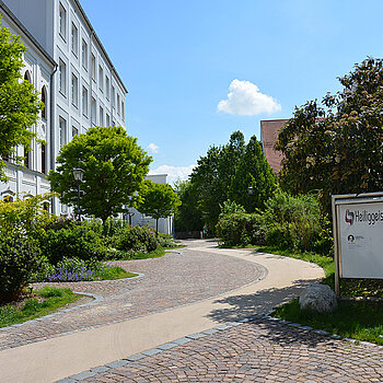 Barrierefreier Streifen vor dem Heiliggeistpital. (Foto: Stadt Freising)