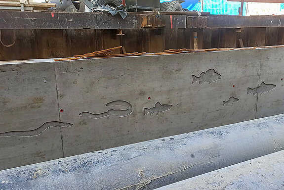 Technik-Test für die geplante Gestaltung der Moosach-Ufermauern: Zunächst werden die einzelnen Fischmotive aus Matrizen hergestellt und von innen auf die Schalung montiert. Hierdurch entstehen im Beton der Ufermauern, wie hier zu sehen, Negativ-Abdrucke. In die Negativformen werden im Anschluss die Fischmosaike eingebracht. (Foto: Wadle Bauunternehmung GmbH / Herbert Priller)